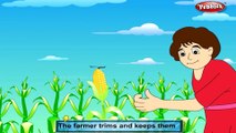 Top 10 Vegetable Rhymes For Kids Nursery Rhymes Collection Vegetable Rhymes Vol 2 | Vegetable Rhymes Collection | Vegetable Rhymes for Children | Nursery Rhymes for Kids | Most Popular Rhymes HD