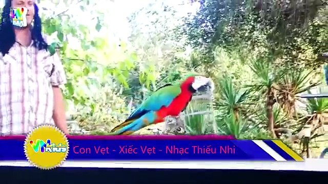 Cá Heo - Xiếc Cá Heo - Liên Khúc Nhạc Thiếu Nhi Vui Nhộn Sôi Động Hay Nhất- dolphin show - best kid music