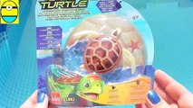 Toys review toys unboxing. Robo turtle. sdsfesTurtle robot rofofish unboxing toys egg surprise tv