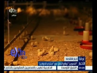 #غرفة_الأخبار | التموين توقع اتفاق مع منتجي الدواجن