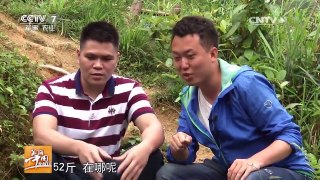 大哥家的这个草鱼养了28年，一万块都舍不得卖，鱼全身都是宝