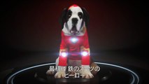 犬版『ドクター・ストレンジ』特別映像-sNo