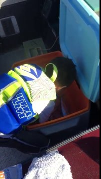 Ce gamin veut attraper un poisson.. et lache une caisse !