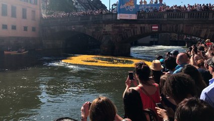 Duck Race : 15000 canards font le grand saut