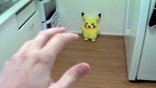 How To Catch a Pokemon-NyGv8XtKJc4