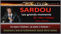 Michel Sardou - Je vais t'aimer KARAOKE / INSTRUMENTAL