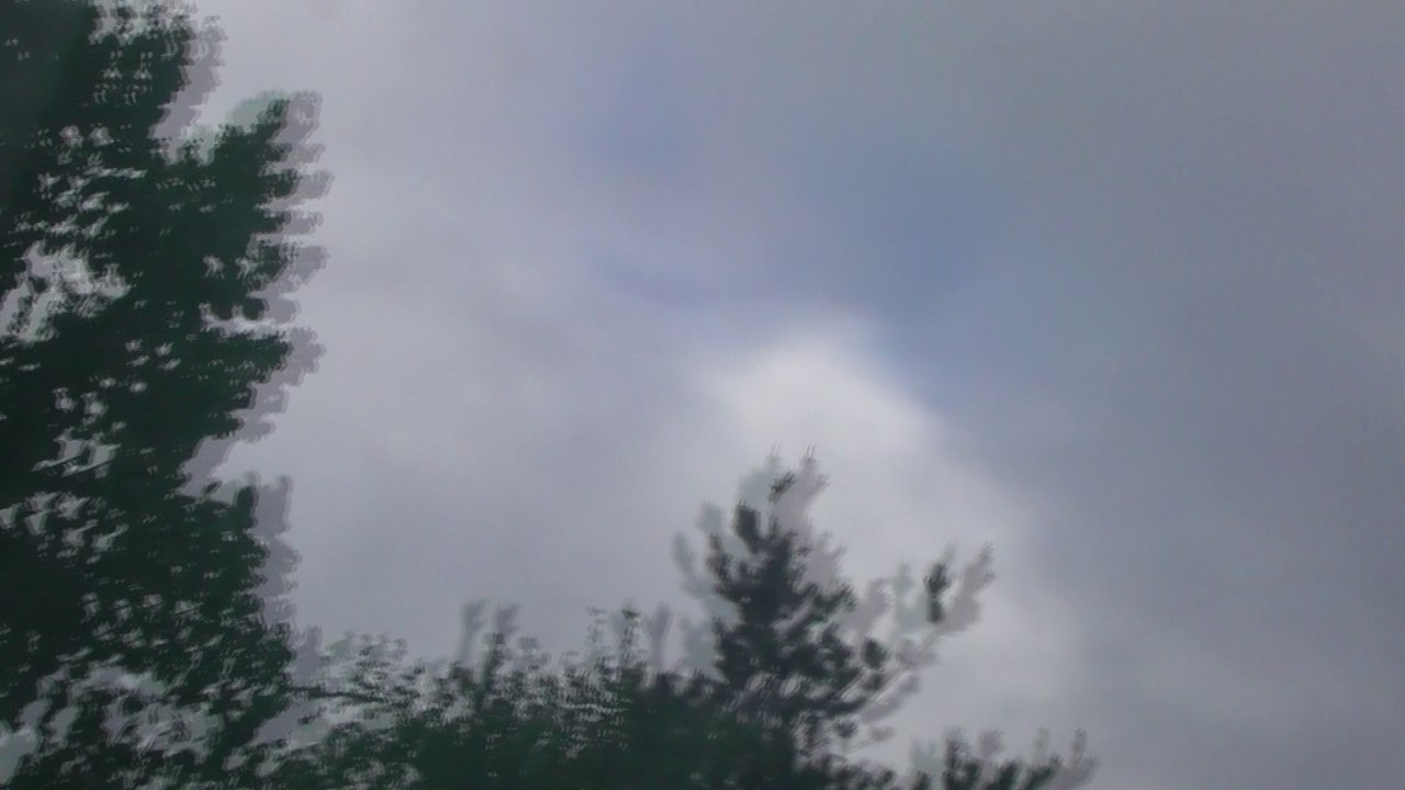 May 29 2017 B1