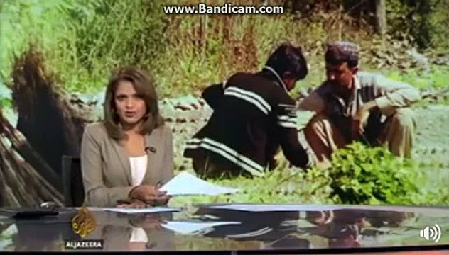 Foreign media appreciated imran khan's step to grow forests...........watch video