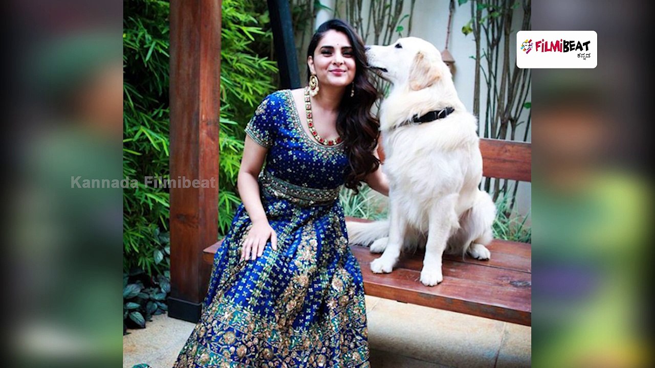 Ramya Fans Taken Their Twitter Account To Express Their Displeasure Agains Trolls  | Filmibeat Kannada