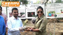 Growing Trees and Educating Children to Plant Saplings