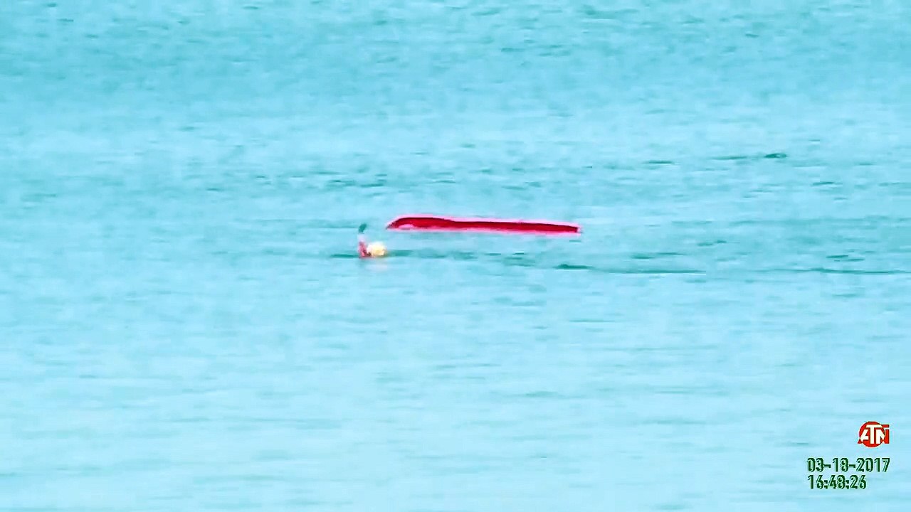 Il tombe de son kayak et se fait encercler par un grand requin bland