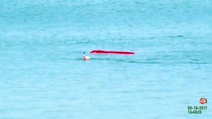 Il tombe de son kayak et se fait encercler par un grand requin bland