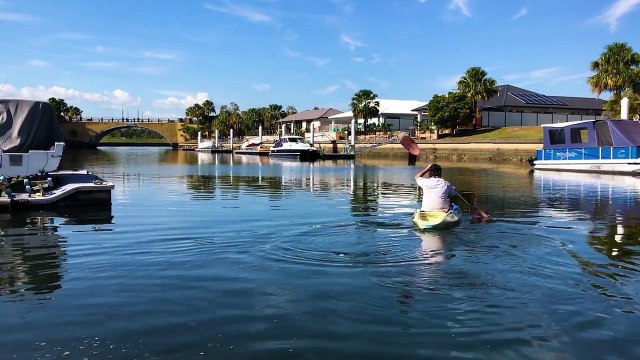 Un kangourou coincé dans un canal sauvé par L'Unité de Secours en Australie