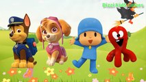 Wrong Heads Paw Patrol Pocoyo Finger Family Song Nursery Rhymes Fun For Kids