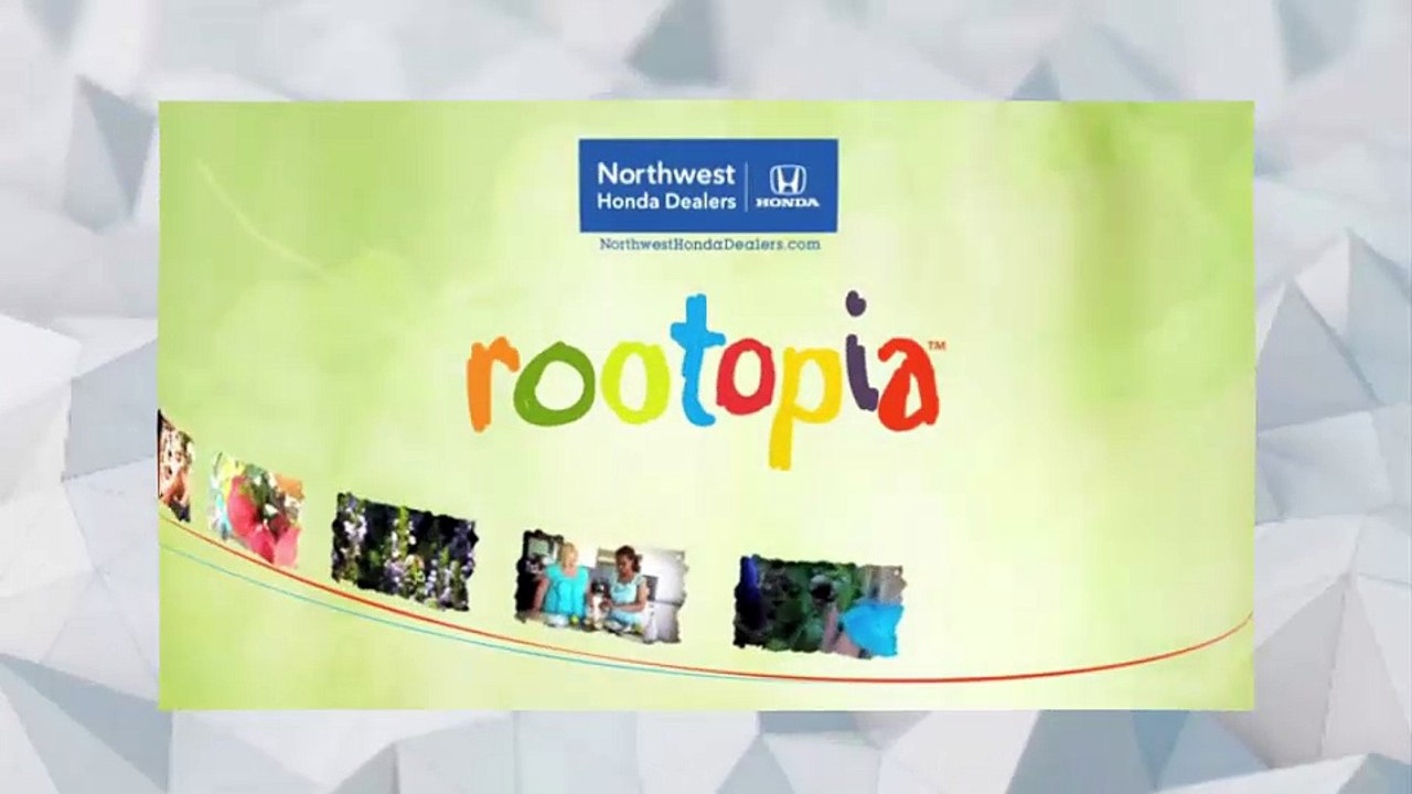 Rootopia, where the fun of raising happy and healthy kids comes together