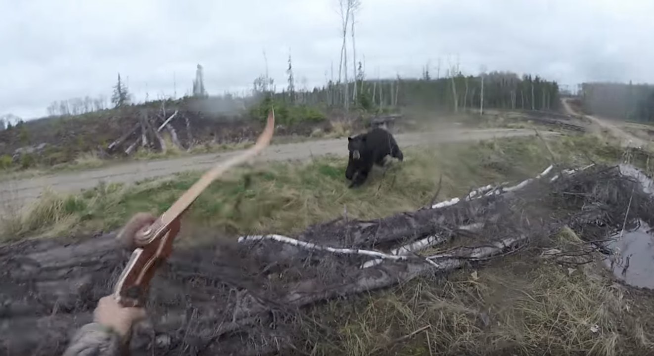 Attaqué sauvagement par un ours, ce chasseur s'en tire par miracle