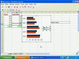 Tutoriel excel: SAUVESOURIS.com