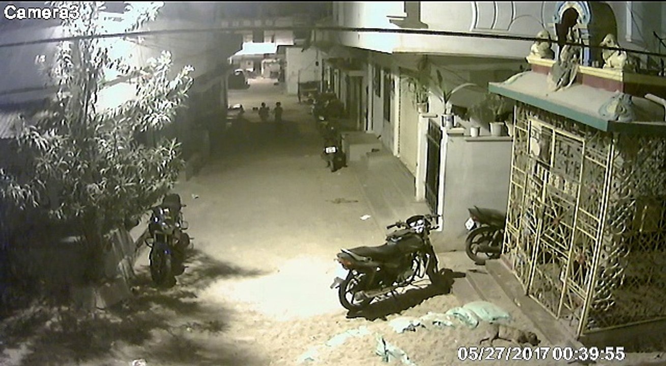 Boy Escapes From Dogs Attack!!