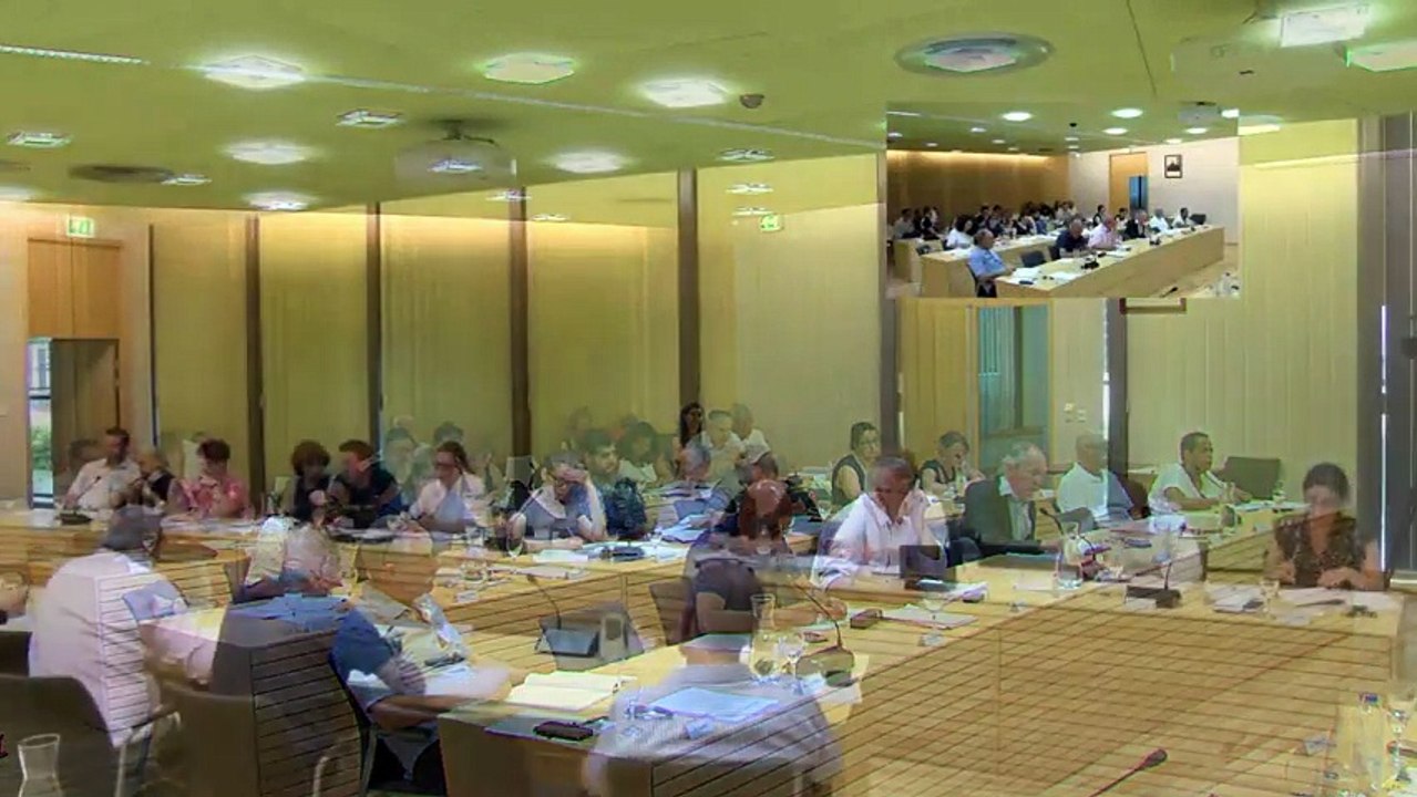 Conseil municipal du 29 mai 2017 à 18h