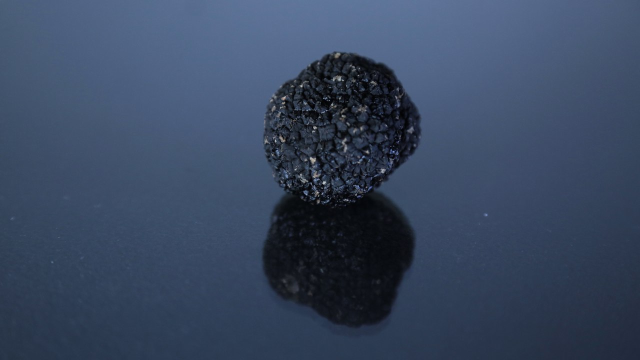 The Secret Sex Life of Truffles
