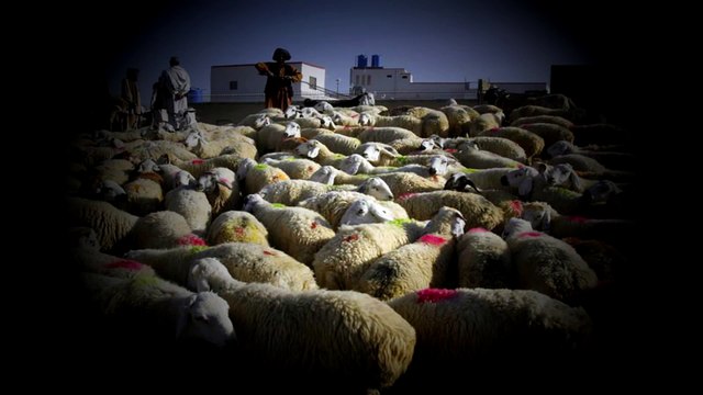 A Destruição da Humanidade judaísmo, cristianismo e islamismo são os responsáveis[2]