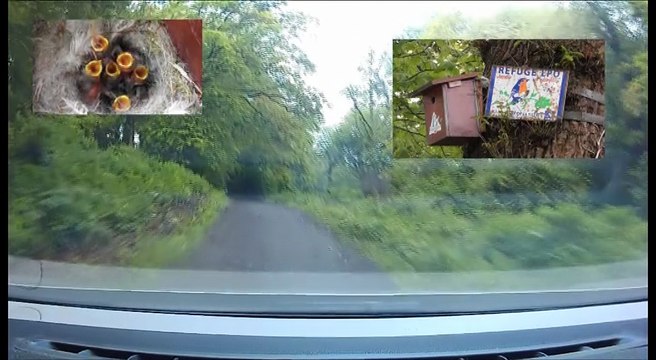 Visite des nichoirs vallée du Goëlo 2017 Ploufragan