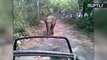 Agitated Elephant Chases Down Jeep Full of Safari Tourists