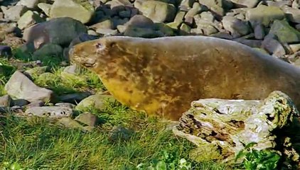 BBC Coast S01E10 Berwick to Whitby