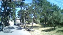 Petite sortie aux Alpilles