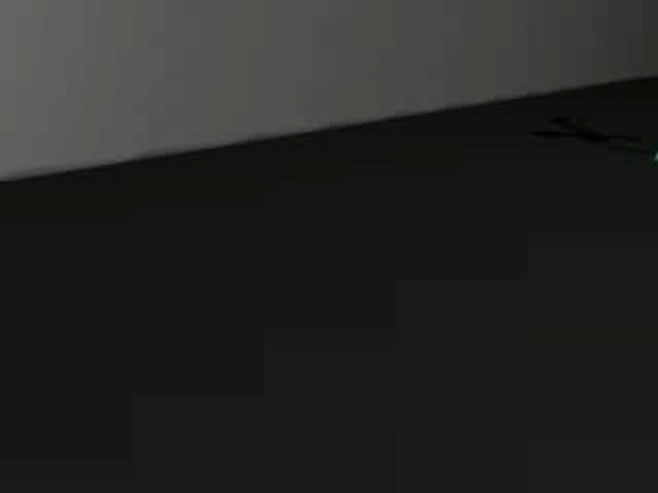 Critter Running