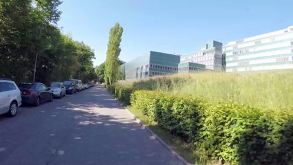 2017-05-27 Dagje Grindelwald