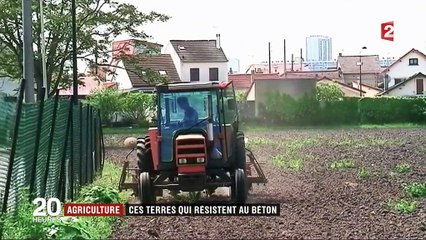 Environnement : la France souhaite préserver ses terres agricoles