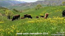 Yürek yakan kürtçe müzik beser şahin memedimin video 2016
