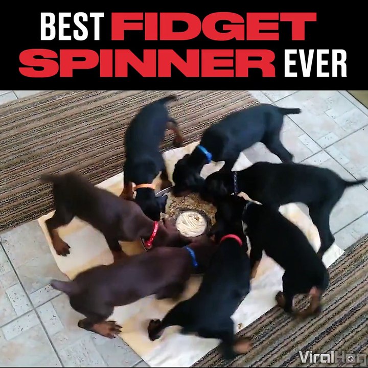 The coolest fidget spinner