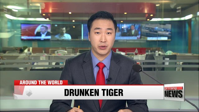 Tiger Woods arrested for DUI