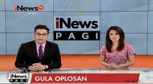 Waspada! Gula Oplosan Kini Mulai Beredar di Masyarakat