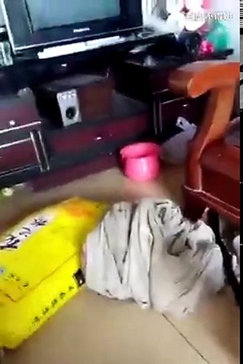Omg !!! snake