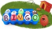 Surprise Eggs Nursery Rhymes _ BINGO Song _ Cartoons for Kids _ Egg Surprise Children's Vide