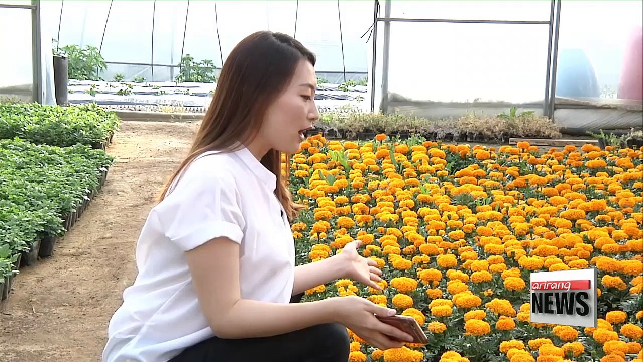 ICT technology helps produce better quality agricultural products, makes farming less labor-intensive