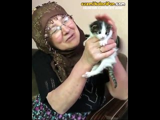 Teyzenin Büyük Bir İçtenlik İle Yavru Kediyi Sevmesi