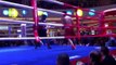 Pro boxing India vs China - WBC Boxing EsNews Boxing