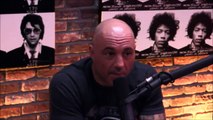 Joe Rogan and Gavin McInnes on Milo Yiannopou