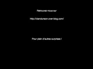 Le secret du Clan du Néon