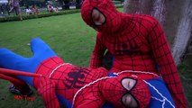 Elsa và Anna người nhện bóc trứng nhện khổng lồ - GIANT EGG SURPRISE SPIDERMAN vs Joker MN