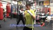 All BOXERS shadow boxing - EsNews Boxing