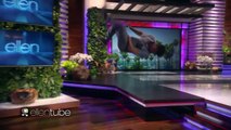 Channing Tatum - #MagicMikeLive guys tear it up on Ellen DeGeneres