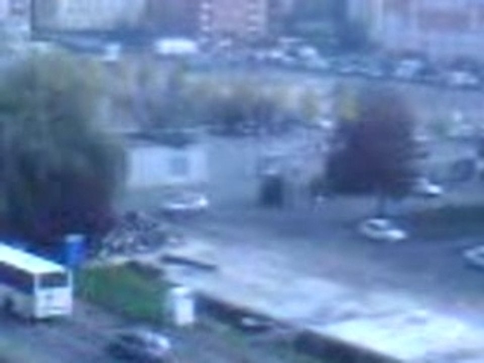 Le vieux merisier trappes