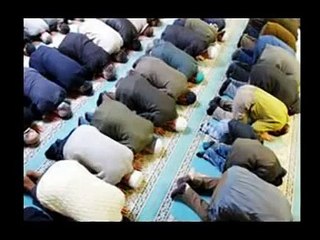 Urdu islamic Cartoon Kahani-Haram Ka Kabootar