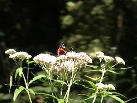 Baie de Somme Picardie Intro