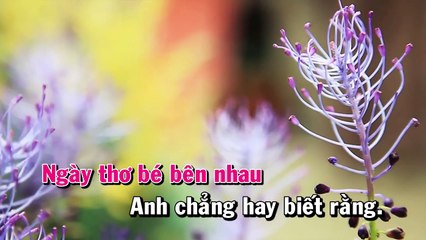 Cô gái ngày hôm qua Karaoke - Vũ Cát Tường BEAT instrumental